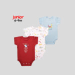 Junior 6-9M High Organic Cotton Short Sleeve Bodysuit Set - Image 13