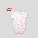 Junior 6-9M High Organic Cotton Short Sleeve Bodysuit Set - Image 16