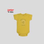 Junior 9-12M High Organic Cotton Short Sleeve Bodysuit Set - Image 14