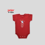 Junior 9-12M High Organic Cotton Short Sleeve Bodysuit Set - Image 3
